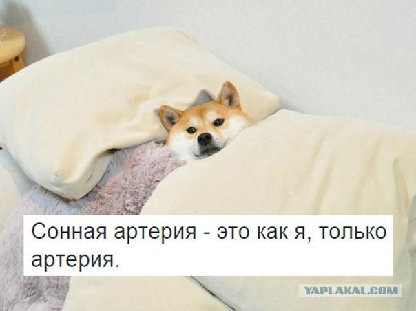 Картинки из сети на вторую часть пятницы