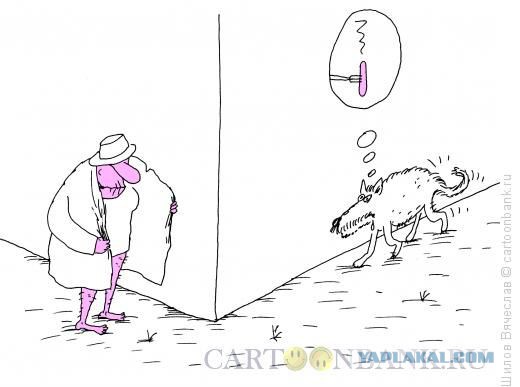 Карикатуры