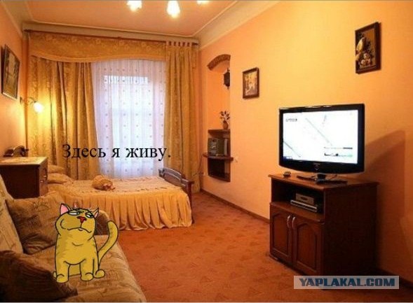 Вот кто хозяин жизни!