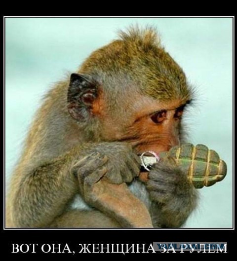 Не смогла скрыться с места ДТП....