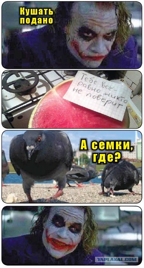 В это точно никто не поверит!