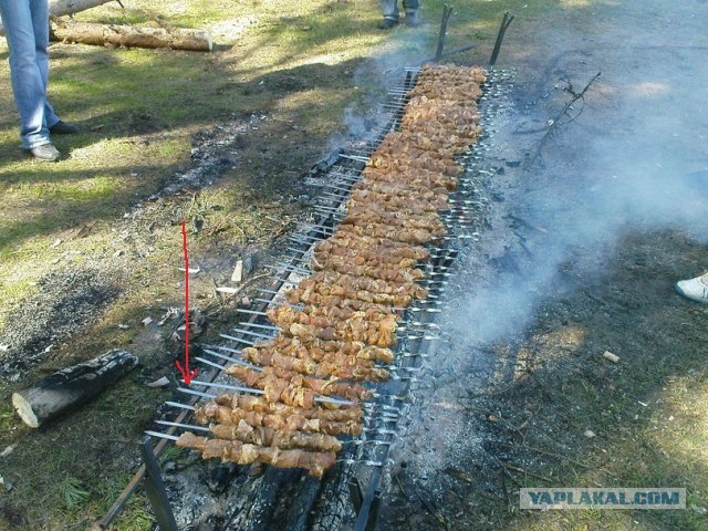 Вот так надо провожать лето!