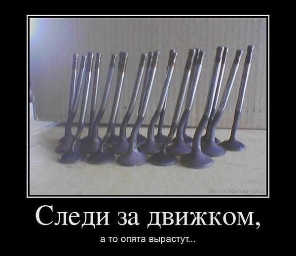 Картинки разные