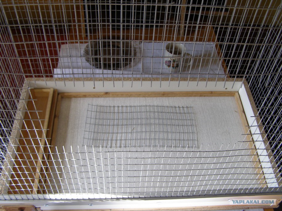 Имак клетка "cova 55" для птиц 58х31х40см. Клетка западок для ловли птиц. Сетка для изготовления клеток для птиц. Клипсатор для габионов инструмент. Клетка из сварной сетки.