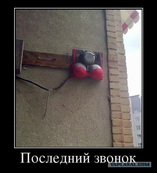 Смешные картинки из сети