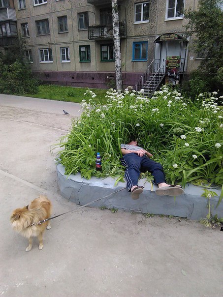 Ужасы и приколы из соцсетей 18+
