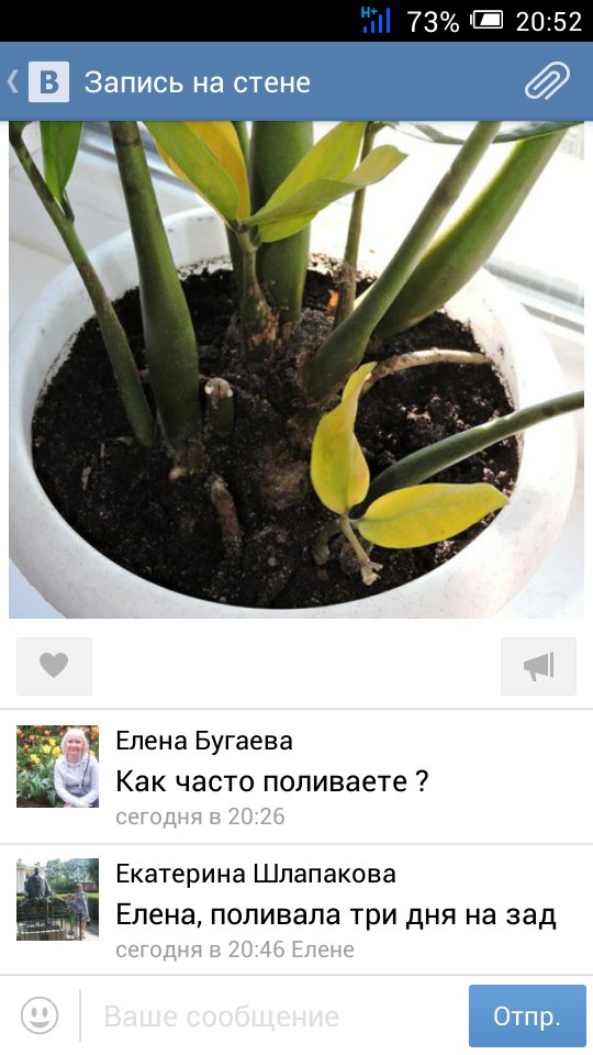 Главная проблема цитат в интернете.