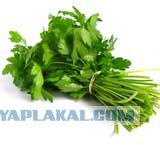 Баня (Лёгкая реставрация)