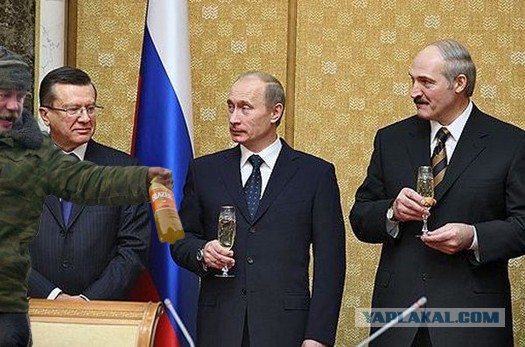 Фотожаба: Кыш!