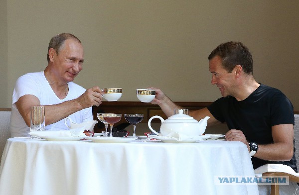 Путин наградил Медведева орденом