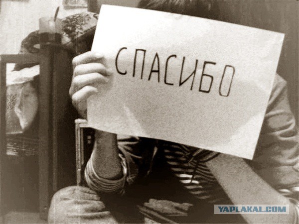 Тест доступных светодиодных ламп