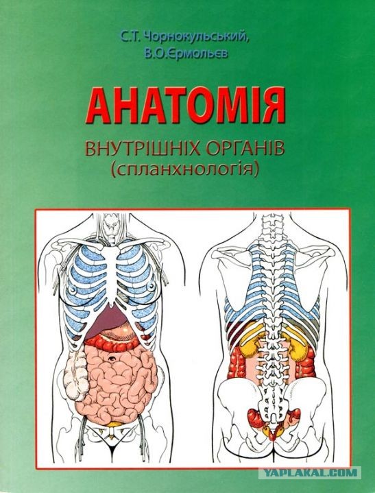 Учим язык с премьером...