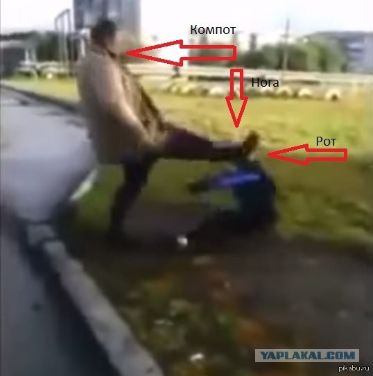 Школоло на тропе войны
