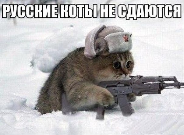 Веселые картинки
