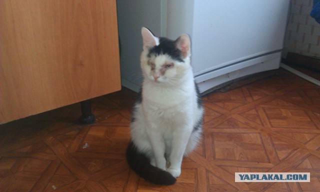 Те, которым мы помогли.