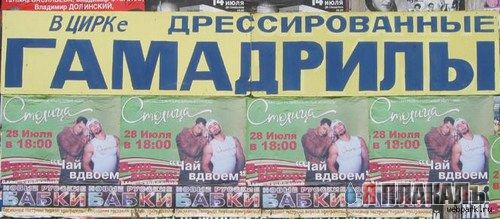 ВЫВЕСКИ, ТАБЛИЧКИ. Смешные и прикольные