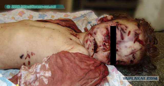 Родители оставили младенца с собакой. Вернувшись, они обнаружили это…