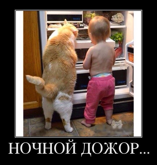 Демы без Темы