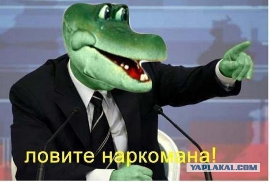 Голый мужик со шприцем в пенисе напал на автомобиль и откусил его пассажирке нос