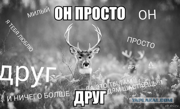 Просто друг картинки
