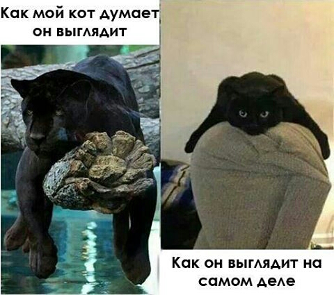 Фото из этих ваших интернетов