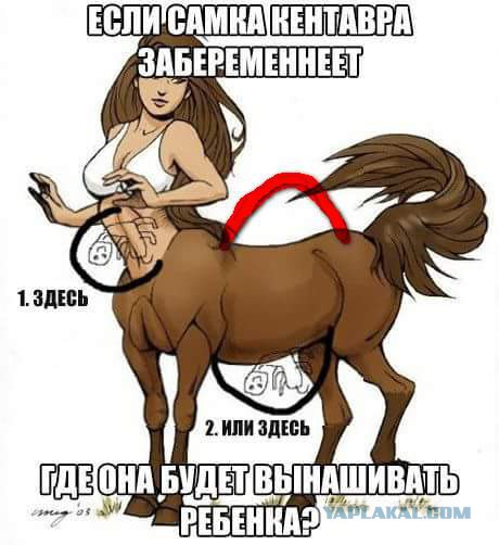 Если самка кентавра забеременеет