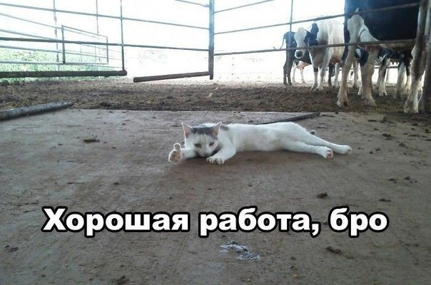 Снова баня!