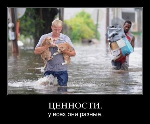 Житель Перми бросился в горящий дом, чтобы спасти кошку и собаку