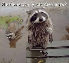 Голову сломал уже