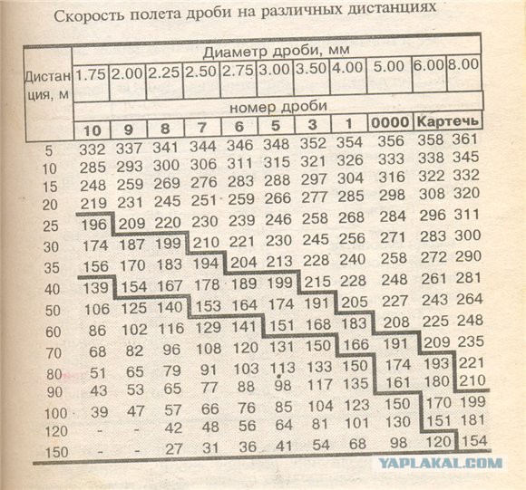 Проверка эффективности дробовика на дистанции