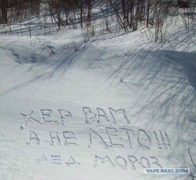 Хорошо в Питере в мае!