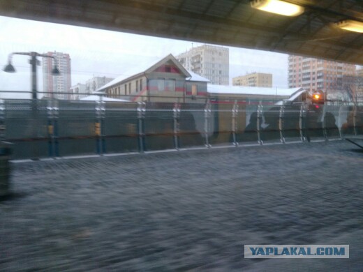 Фото читающих в подземке москвичей поразило иностранцев. Они мечтают увидеть подобное у себя на родине
