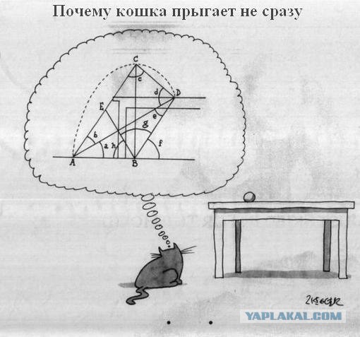 Чернь и деградация к выходным