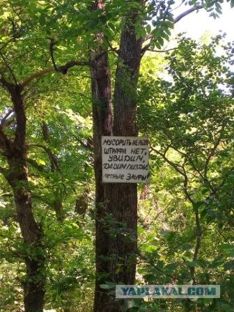 Под Петербургом обозленный водитель «проучил» самосвальщиков, разгрузившихся в лесу. Прикладом по лицу и сгоревшей машиной