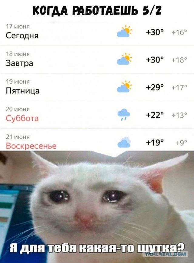 Немного картинок для настроения 118