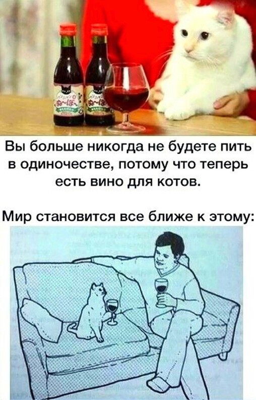 Алкопост 06.02.21