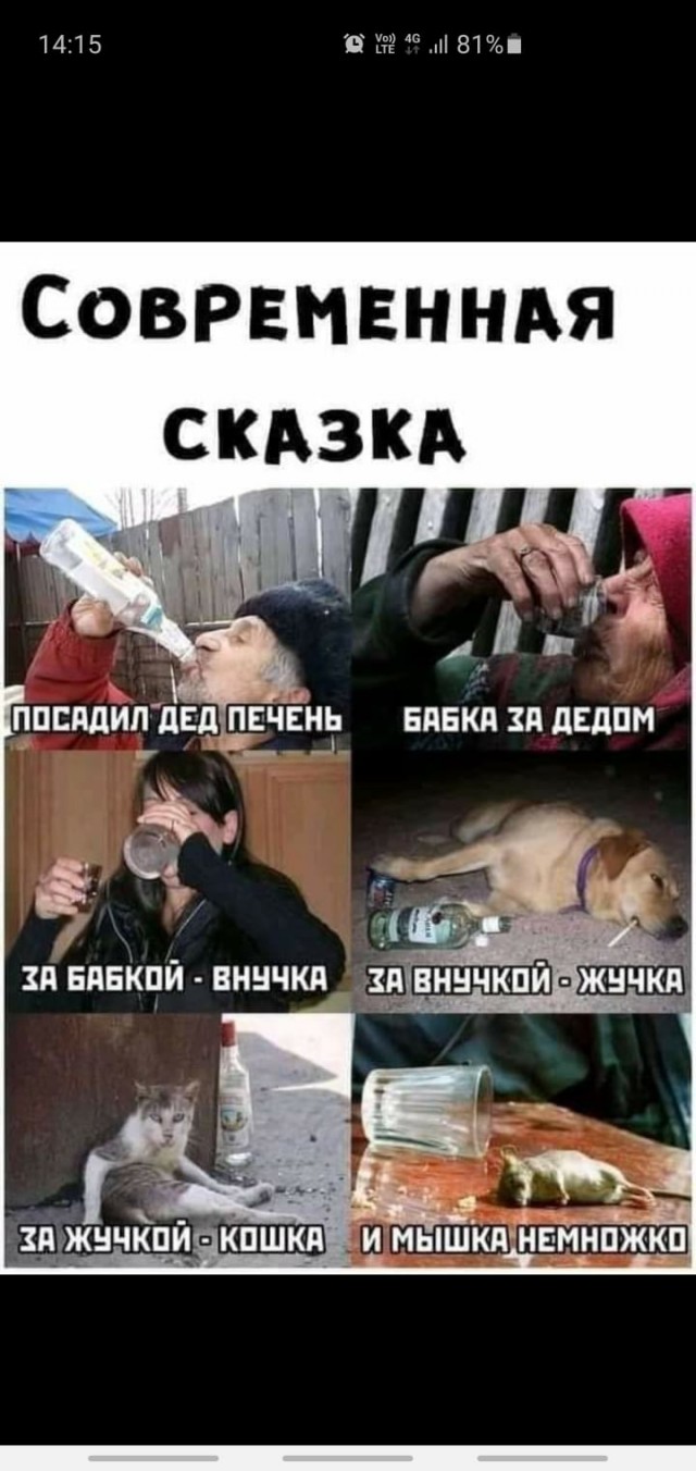Прикольные и просто красивые картинки 09.03.2021