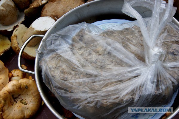 Осень в банках