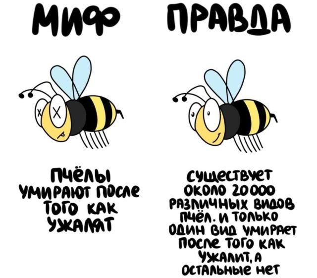 Картинки и мемы, всем прекрасных выходных