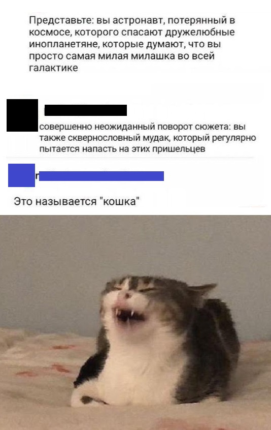 Всяческие картинки 15.11.2021