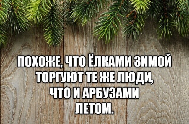 Баянисто-небаянистый юмор 23.12.21