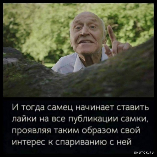 Всяческие картинки 29.12.2021