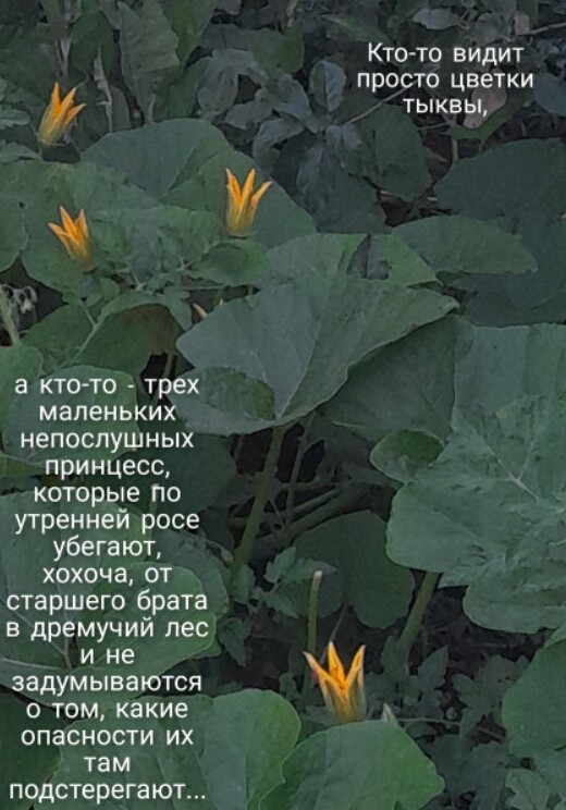 Баянисто-небаянистый юмор 30.07.22