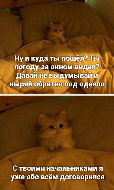 Немного картинок для настроения - 114