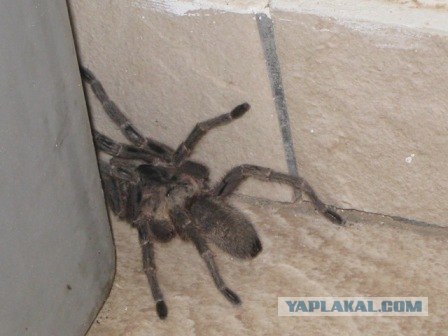 Кипр. Отчет.