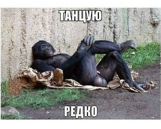 Почему обезьяны пинают х*и?