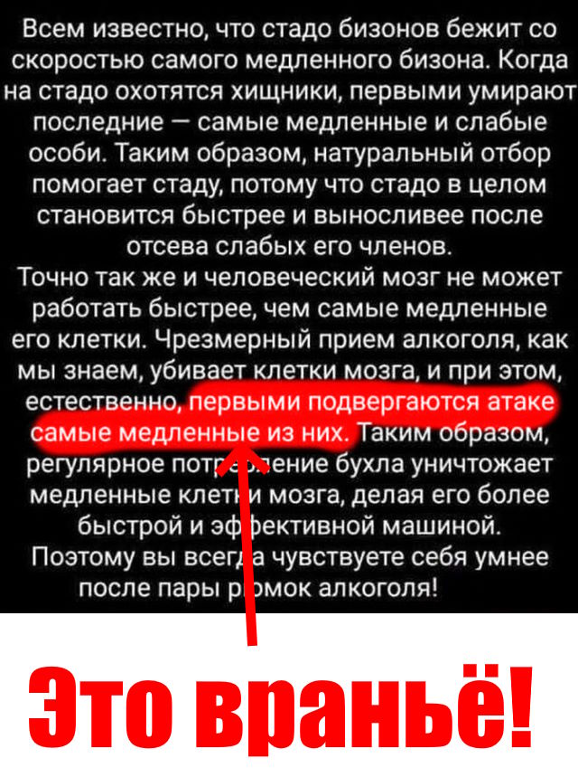 Так себе картинки 26.05.23