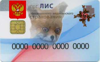 УПоРоТые ЛИСички