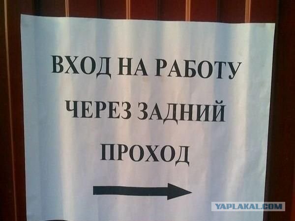 Якась скотина