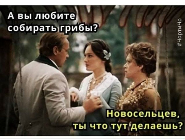 Григорич плохого не посоветутет !